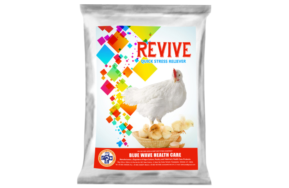 REVIVE (Quick Stress Reliever)